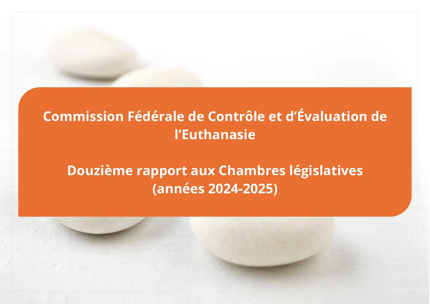 Rapport bisannuel (2024-2025) 